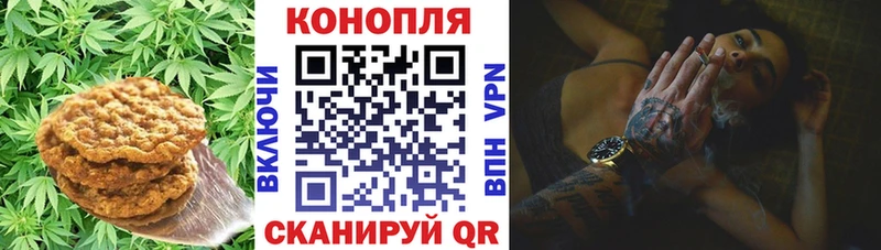 мориарти как зайти  Тутаев  Canna-Cookies конопля 