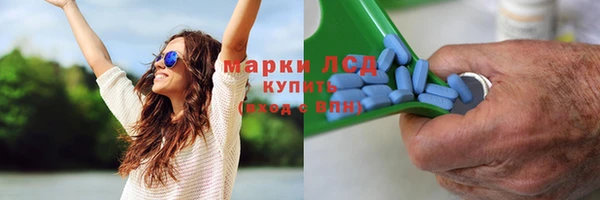 прущие грибы Магас