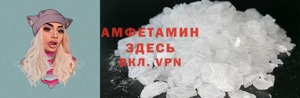 прущие грибы Магас