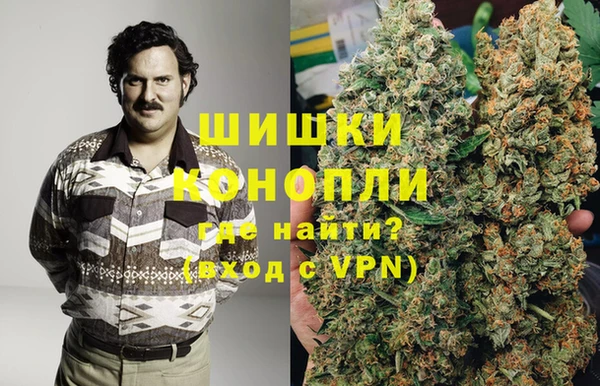 ГАЛЛЮЦИНОГЕННЫЕ ГРИБЫ Майский