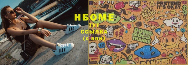прущие грибы Магас