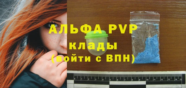 ГАЛЛЮЦИНОГЕННЫЕ ГРИБЫ Майский
