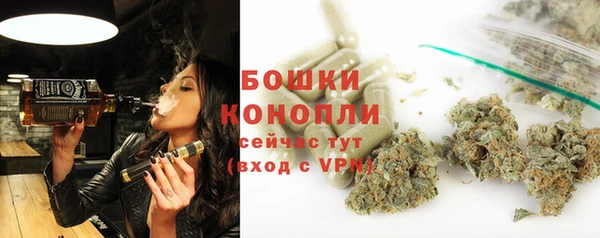 прущие грибы Магас
