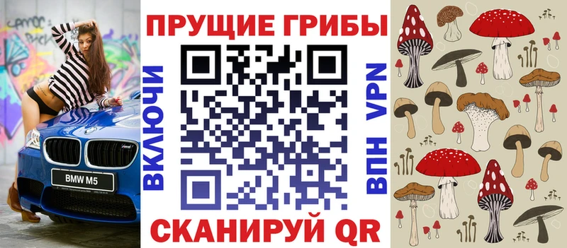 цены наркотик  Тутаев  Галлюциногенные грибы MAGIC MUSHROOMS 
